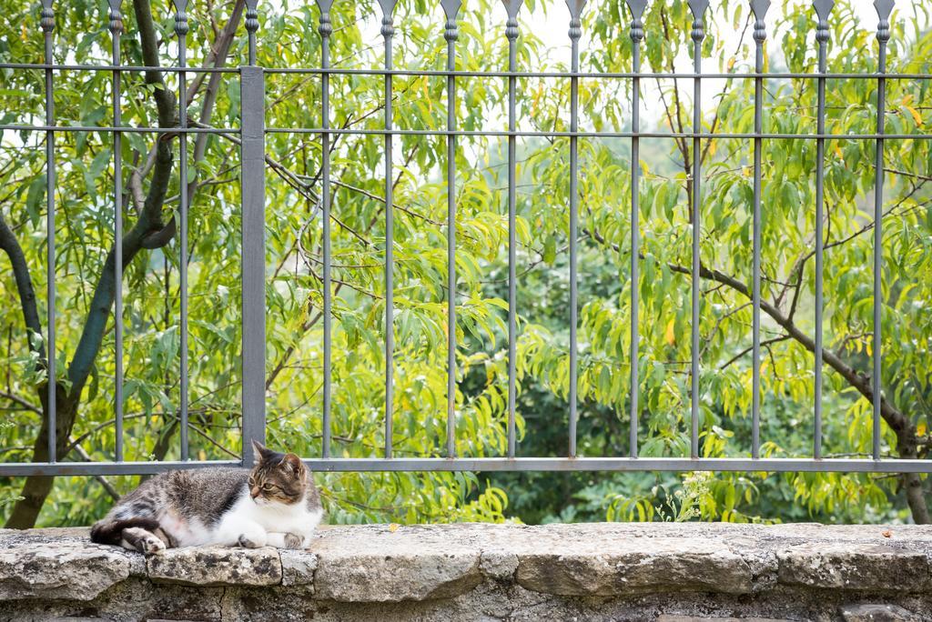 Masseria Acquasalsa Аньоне Экстерьер фото